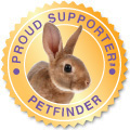 Rabbit Seal