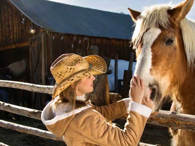 Horses Who Heal