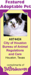 Featured Pet, Style 2