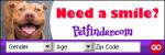 Adopt a Pit Bull #1