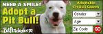 Adopt a Pit Bull #3