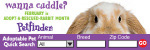 Rabbit - Horiz. Quick Search