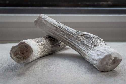 Problem solved.    Antlers are expensive, but I’ve found them to be well-worth the cost. They’re long lasting, have no smell/residue, and the dogs love them.    The usual caveats apply – you want to supervise your pup when they try their antler, and you want to check with your vet to make sure your pup’s teeth/gums are healthy and undamaged.    Antlers certainly aren’t for every dog (especially overly-aggressive chewers) but for many pups antlers are a great substitute for the traditional dog bone.