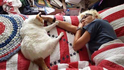 cat sleeping 