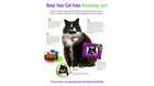 keep cat from becoming lost