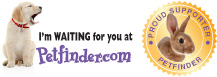 Graphics and Ads - Seals of Approval