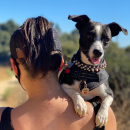 Jocelyne & Persephone
