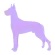 Great Dane